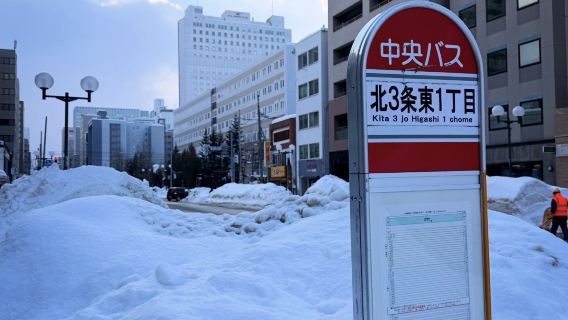 Tarikan klasik di seluruh Hokkaido sewaan peribadi bahasa Cina tersuai & perniagaan/pemandu pelancong tempatan/penterjemah/perjalanan/teman