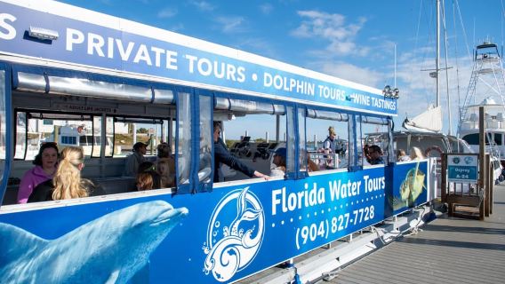 St. Augustine: Expert-Led Dolphin & Wildlife Eco Adventure