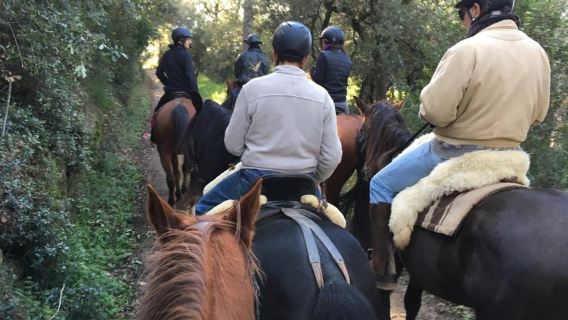 Horseback Riding in Costa Brava with Castell d'Empordà Views