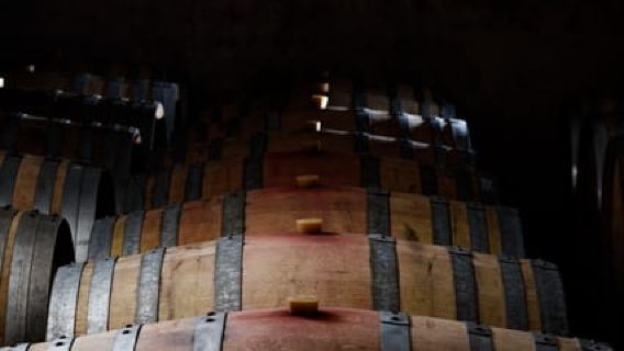Visita e degustazione - L'essenziale