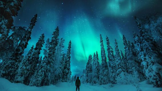 Northern Lights Hunting with Aurora Workshop