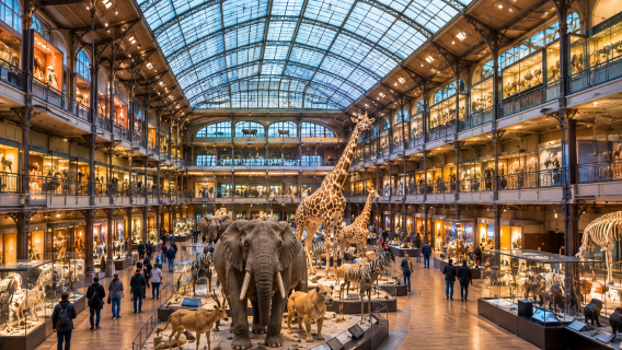  Paris Doğa Tarihi Müzesi: Dinozorlar ve Yaşamın Evrimi