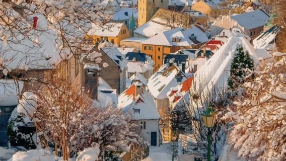 Norway Bergen - Rumah Kayu Berwarna-warni di Dermaga Bryggen - Gunung Fløyen - Sewaan Peribadi Bahasa Cina - Pelancongan Santai