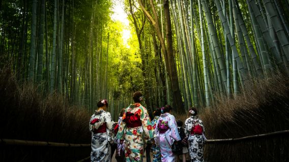 Kyoto Arashiyama: la villa imperiale e i paesaggi incantevoli di Kyoto | visita guidata di 3 ore