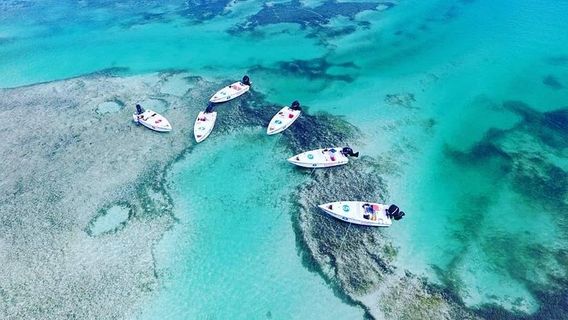 Key WestTours