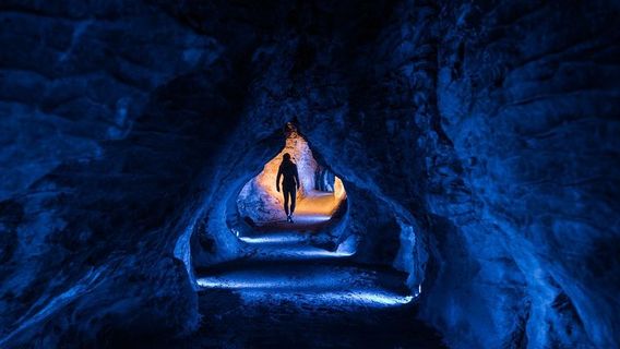 Waitomo CavesTours