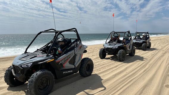 Cabo San LucasExperiences