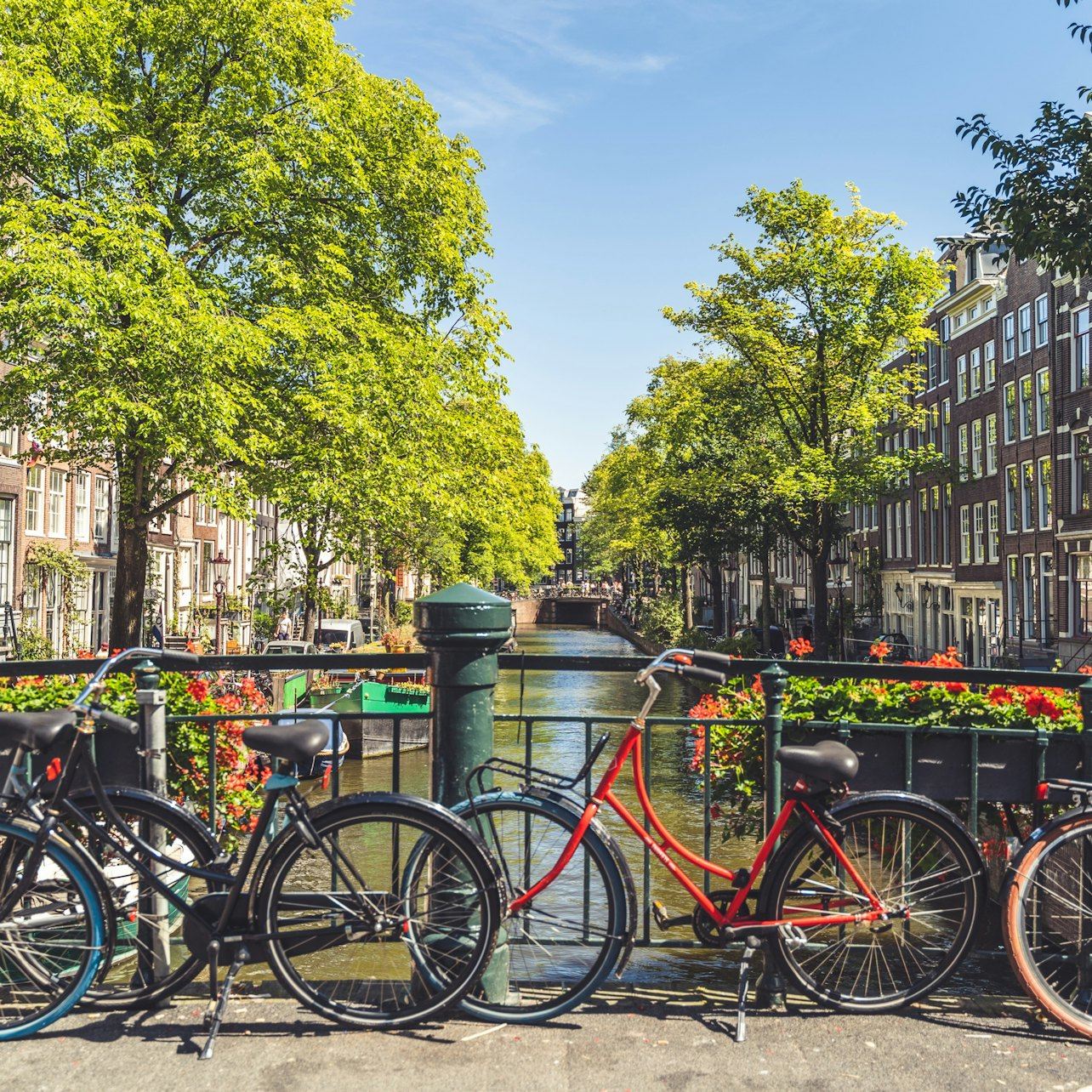 Amsterdam: Guided Walking & Biking Tour + 1-Hr Canal Cruise