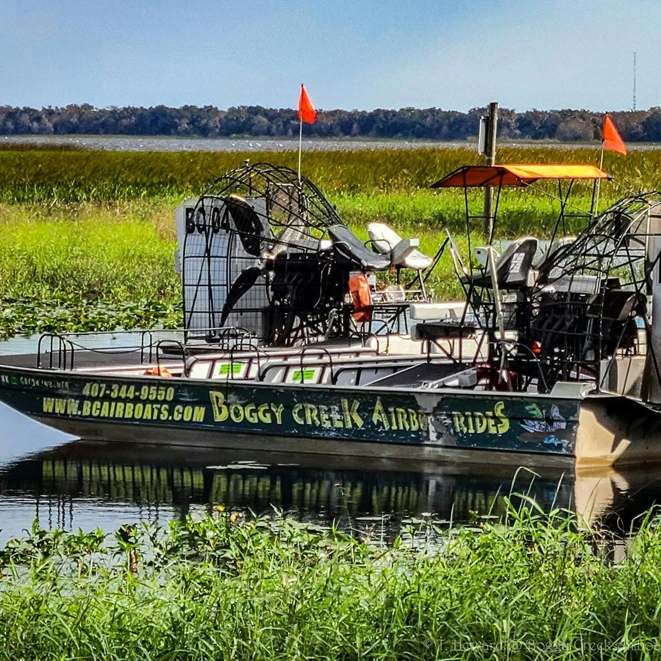 Kissimmee: 1-Hr Boggy Creek Everglades Airboat Tour
