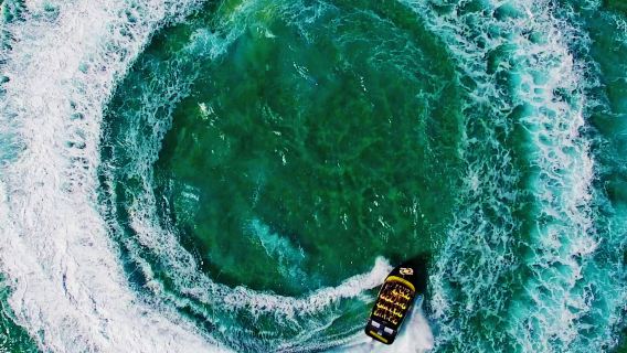 Paradise Jet Boating: 1-Hr Broadwater Adventure Ride