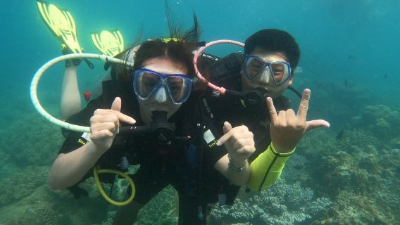 selam skuba menyelam Bersertifikat/PADI Master selam bebas 5 Jam Snorkeling/Penyelaman Terumbu Karang (+ Jam dengan Dive Master) di Nha Trang, Vietnam