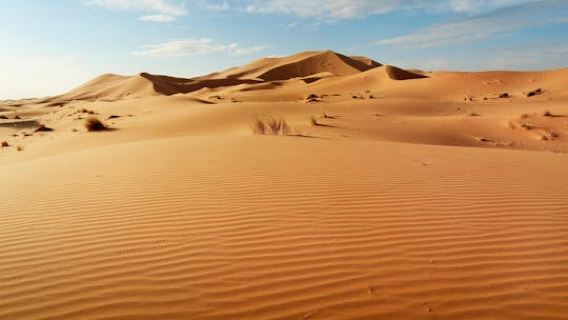 Half-day guided tour to Sahara sand dunes from Agadir