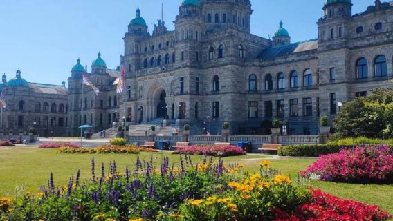 加拿大多倫多大學+斯卡堡懸崖一日遊/行程可調-中文包車