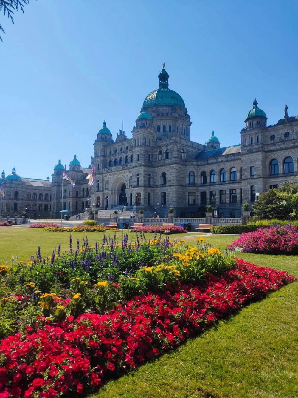 加拿大多倫多大學+斯卡堡懸崖一日遊/行程可調-中文包車