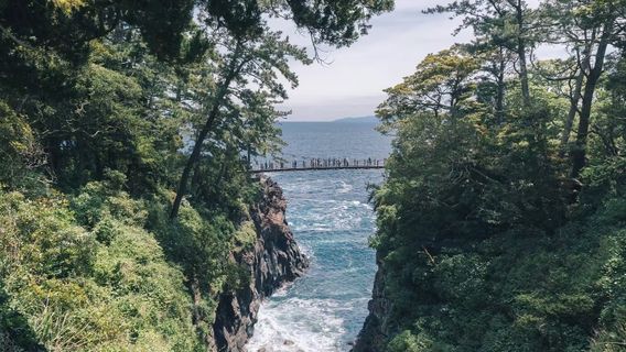 河津町日遊