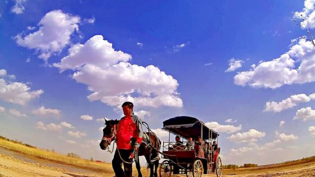 黃沙古渡一日暢遊【銀川市區起止、小車出遊、VIP小團】