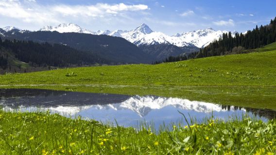 新疆伊犁庫德寧拼車一日遊（伊寧起止）