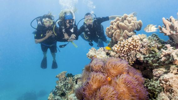 Ocean Freedom Great Barrier Reef Tour