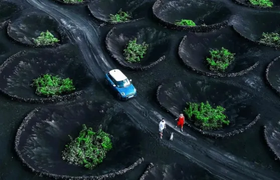 蒂曼法亞火山+綠湖&帕帕加約海灘：蘭薩羅特島異世界包車一日遊