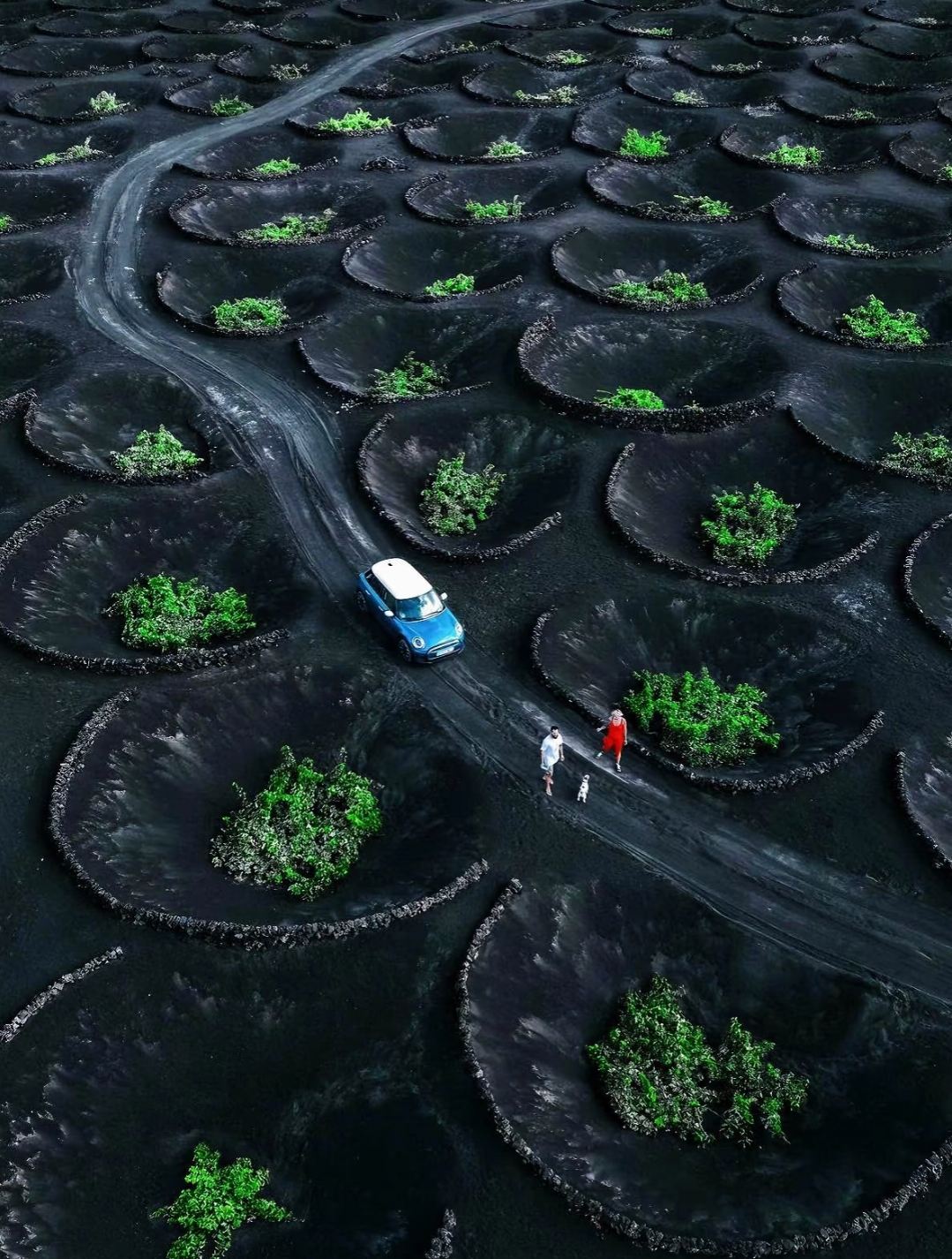 蒂曼法亞火山+綠湖&帕帕加約海灘：蘭薩羅特島異世界包車一日遊