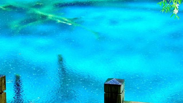 Jiuzhaigou-Huanglongjiuzhai High-Speed Rail Comfortable Bus/Car [Multiple Boarding Points] Flexible Time Options