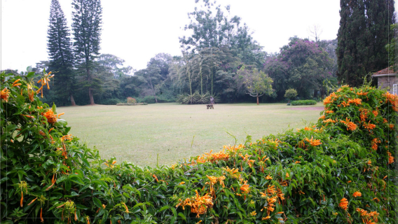Rumah Karen di Kenya + Sewa Kota + Penjemputan dari Pintu ke Pintu/Sewa Rencana Perjalanan yang Dapat Disesuaikan