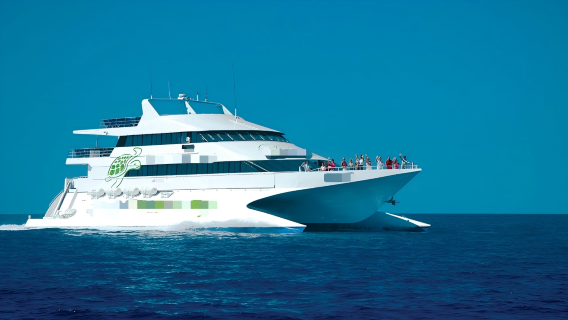 哈迪大堡礁一日遊【CW遊船丨含午餐和自由浮潛丨可選來回地】