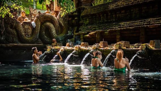 Tour privato di Ubud: scimmie sacre, caffè, tempio, cascata