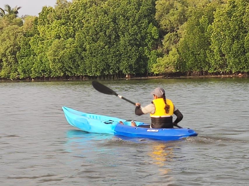 Kayak nelle Backwaters di Pondicherry