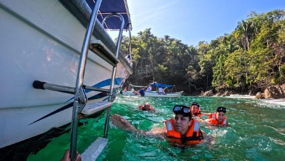 Puerto Vallarta: Schwimmen mit tropischen Fischen & Canopy Tour