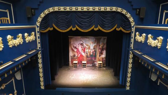 Siviglia: Spettacolo di Flamenco dal vivo al "Teatro Flamenco Triana"