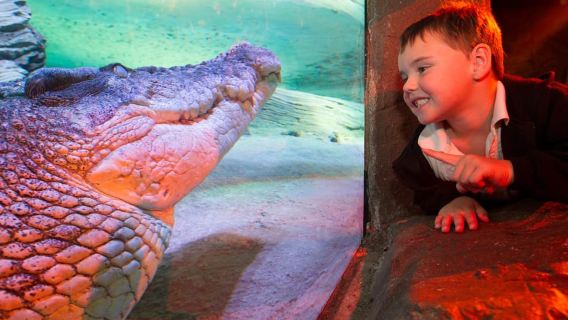 墨爾本：SEA LIFE 水族館門票