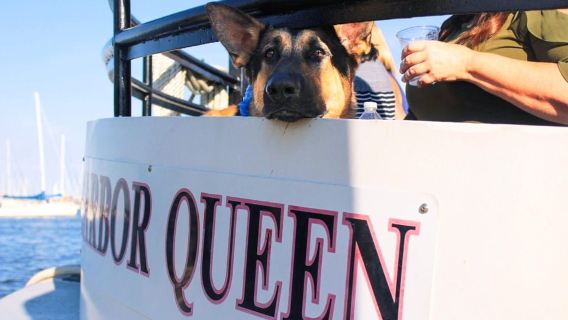 Annapolis: Annapolis Harbor and U.S. Naval Academy Cruise