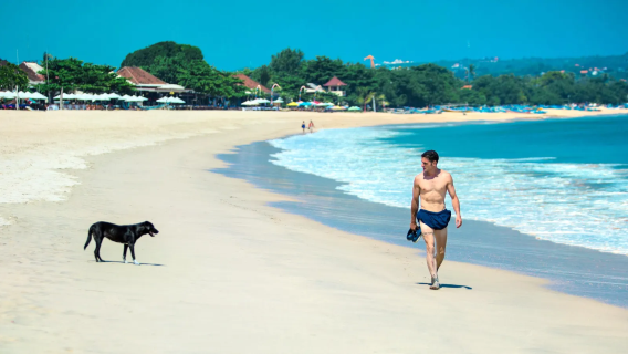 情人崖+懸崖公路+盤達瓦海灘+金巴蘭海灘+南部海岸活力之旅