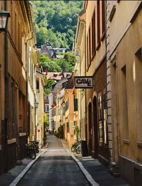 拼小團·法蘭克福+維爾茨堡主教宮+羅騰堡老城日遊·團期請諮詢