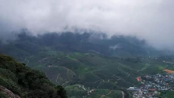 바가몬: 고요한 차밭, 초원, 숲