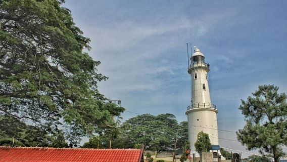 Kuala Lumpur: Kuala Selangor Fireflies and Blue Tears Tour