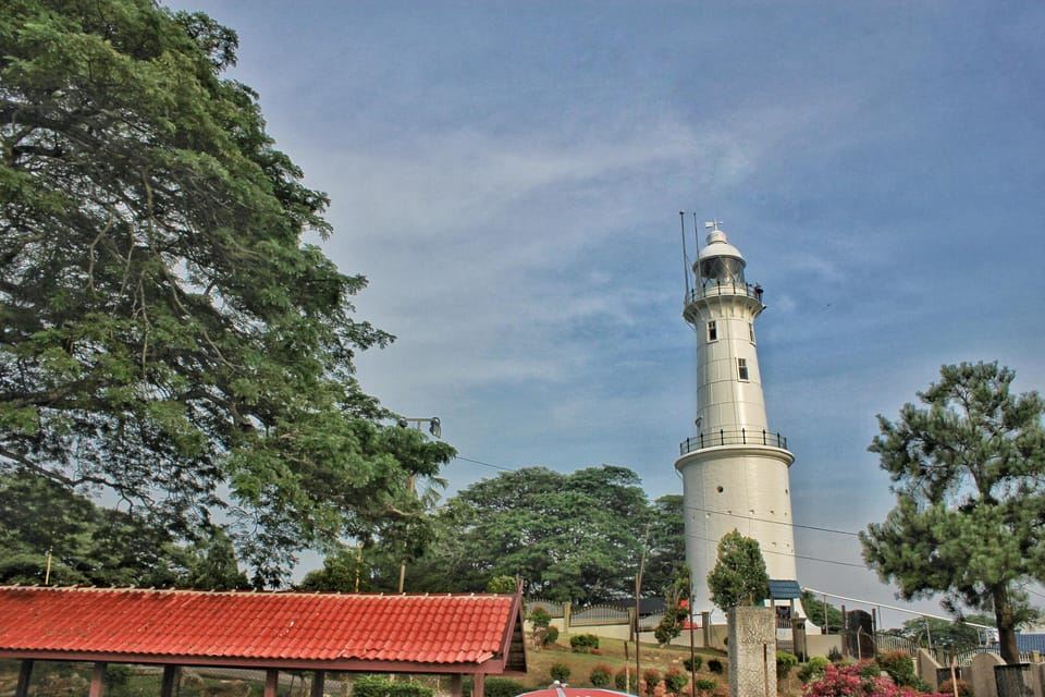 Kuala Lumpur: Kuala Selangor Fireflies and Blue Tears Tour