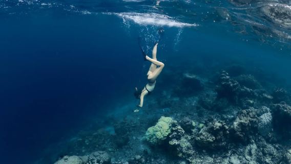 Los Cabos: Segelkreuzfahrt mit Schnorcheln und Mittagessen