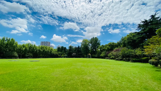Excursión de un día por los edificios históricos de Shanghái y paseo por la ciudad