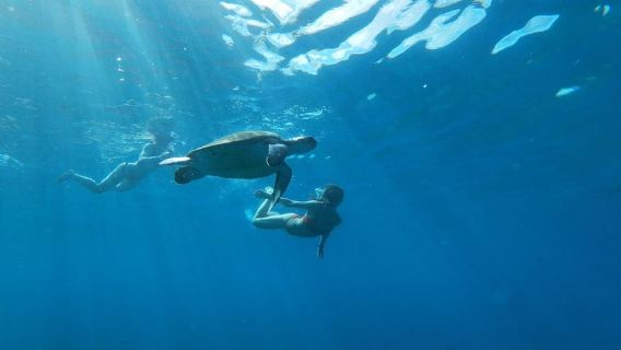 Tenerife: Kayaking and Snorkeling Tour for Groups