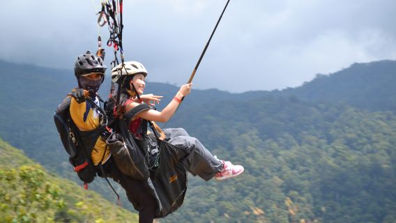 Tour di un giorno a Kota Kinabalu, Sabah: Montagna Sacra, parapendio, ATV fuoristrada, fattoria delle mucche, fiore Rafflesia con video incluso