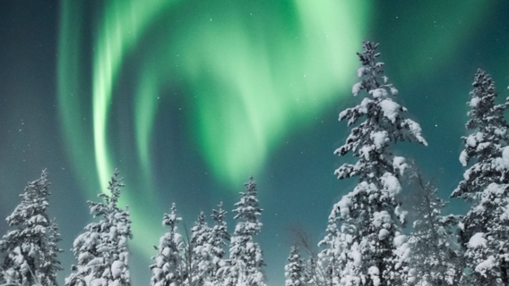 4-Hour bus Chasing Tour in Rovaniemi, Finland (with Pickup and Photography)