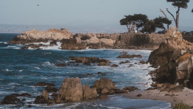 San Francisco round-trip private charter to Half Moon Bay, Monterey, Carmel-by-the-Sea, 17-Mile Drive and other attractions - Premium Selection