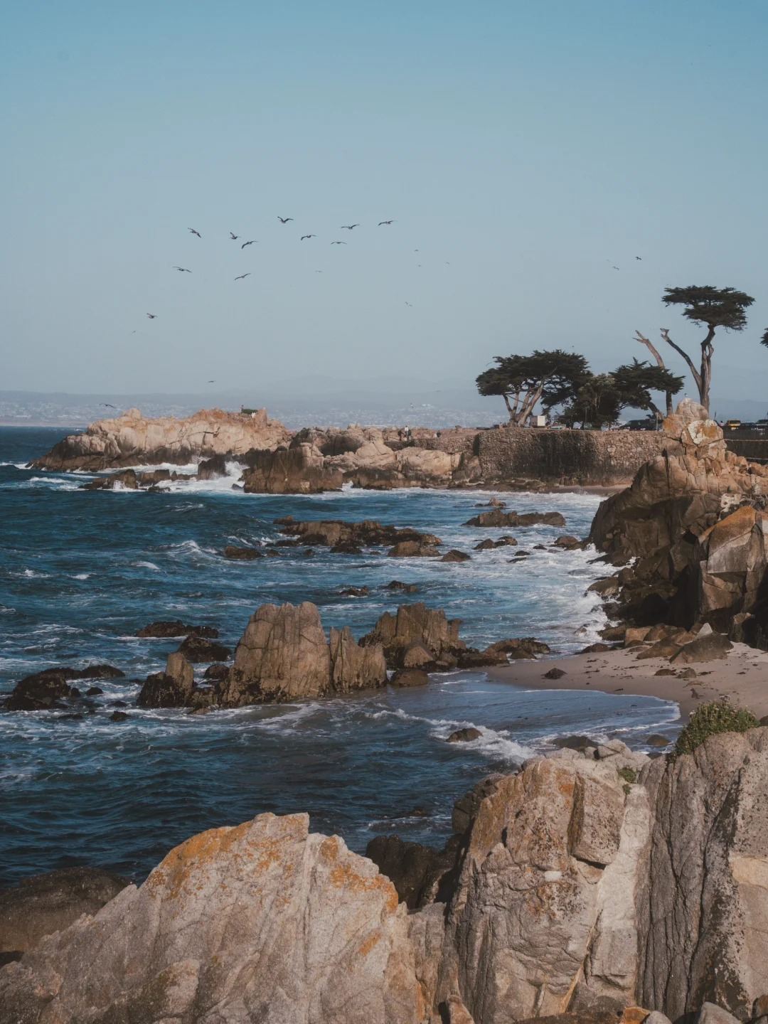 美國舊金山來回半月灣-蒙特雷-卡梅爾17里等景點包車-精選
