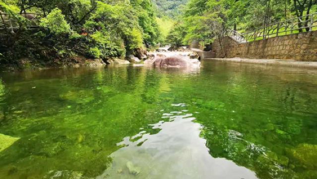 Private Charter Day Tour from Huangshan City: Jiulong Waterfall Area + Emerald Valley Area