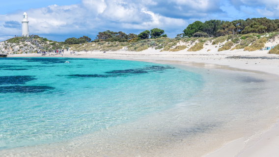 Excursion d'une journée sur l'île de Rottnest depuis Perth en Australie [Ticket de bateau aller-retour - Journée entière de temps libre]