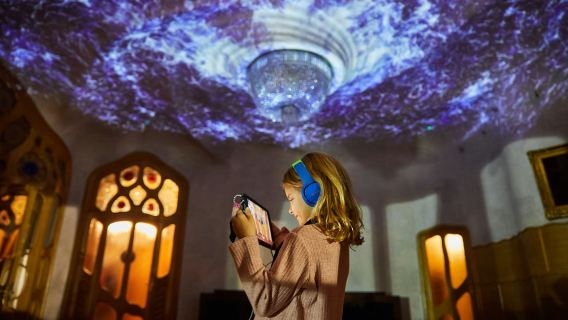 Casa Batlló: Standard Evening Ticket (Blue)