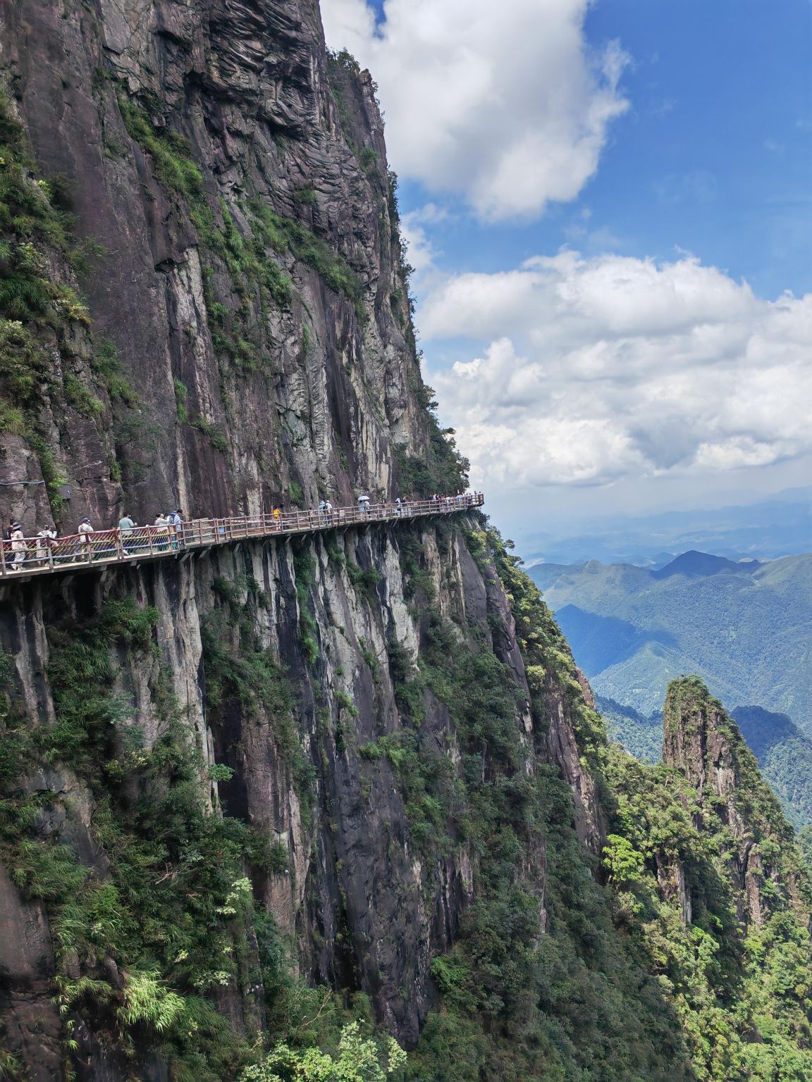 Tour di un giorno a Chenzhou, Hunan: Parco Nazionale Forestale di Mangshan + Wuzhifeng + Yanziyan con noleggio con conducente esclusivo e servizio in inglese