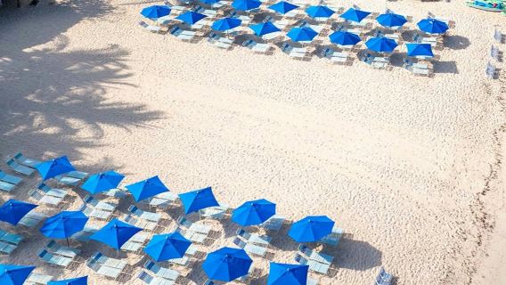 Cozumel: Catamaran Fun Cruise with Lunch + Unlimited Drinks